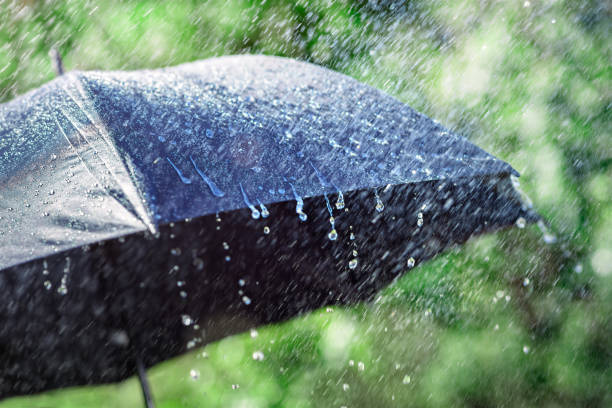 Зонтики не убирайте ☔️. Погода на ближайшие дни