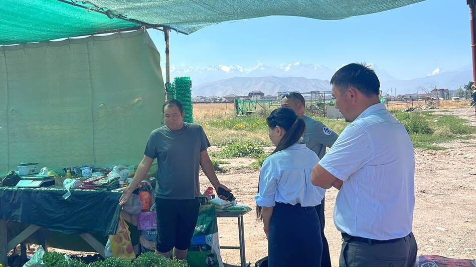 Продавцам деревьев и саженцев запретили торговать на полях в "Кок-Жаре"