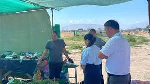 Продавцам деревьев и саженцев запретили торговать на полях в "Кок-Жаре"