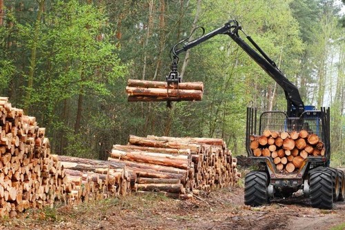 Новгородская область РФ экспортировала 153,5 тыс. кубометров лесопродукции в 20 стран, включая Кыргызстан