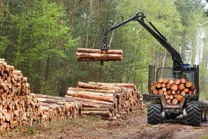 Новгородская область РФ экспортировала 153,5 тыс. кубометров лесопродукции в 20 стран, включая Кыргызстан