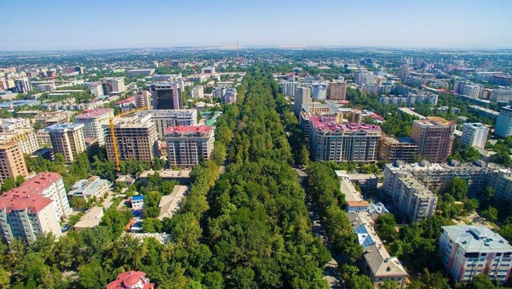 Горожане жалуются на парковку вторым рядом вдоль бульвара Эркиндик