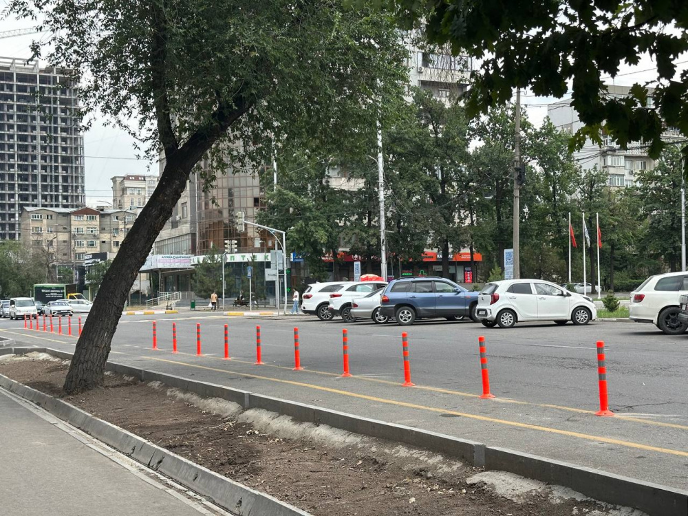 На улице Токтогула начали устанавливать ограждения для велодорожки (видео)