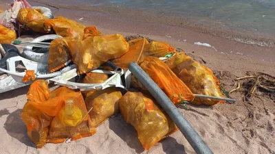 На Иссык-Куле водолазы подняли тонну мусора со дна пляжа «Золотые пески»
