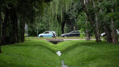 В КР представили программу, которая может вернуть Бишкеку статус зеленого города