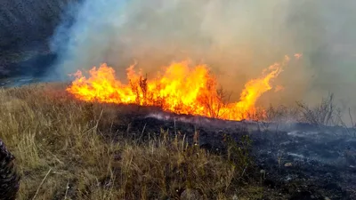 Пожар на 5 гектарах в Узгенском районе: урожай успели собрать