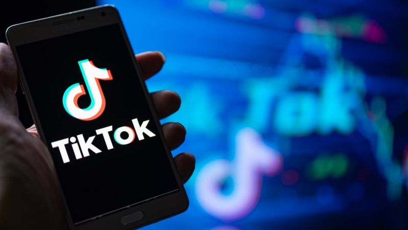 Бизнесмены просят Садыра Жапарова разблокировать TikTok в Кыргызстане