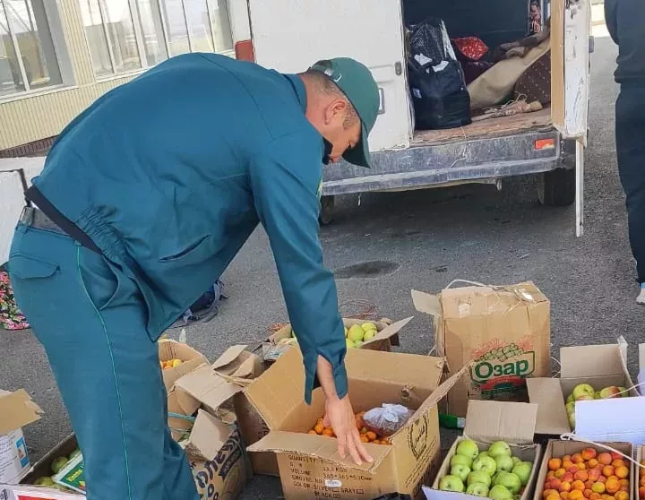 В Кыргызстане на пунктах пропуска «Карамык» и «Эркештам» усилен фитосанитарный контроль