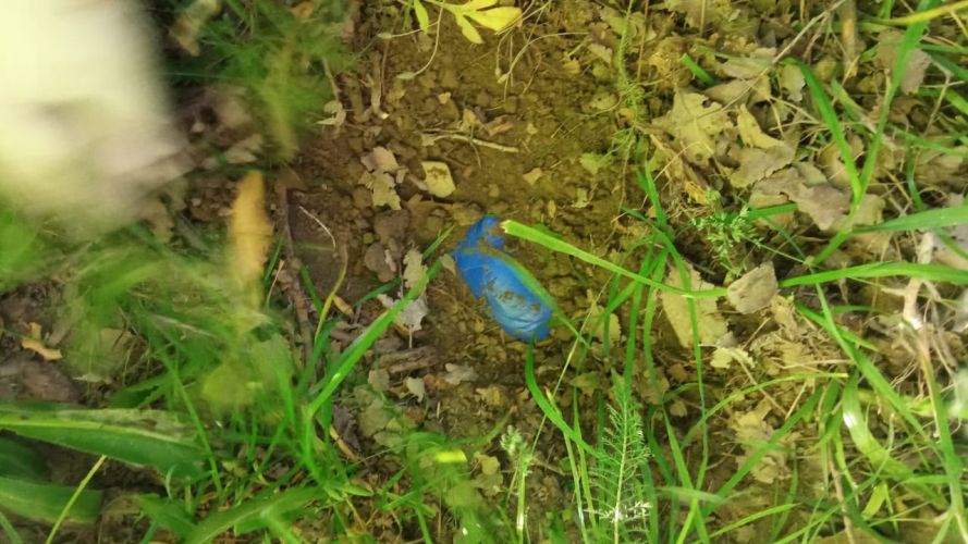 В Оше задержали предполагаемых сбытчиков афганского гашиша