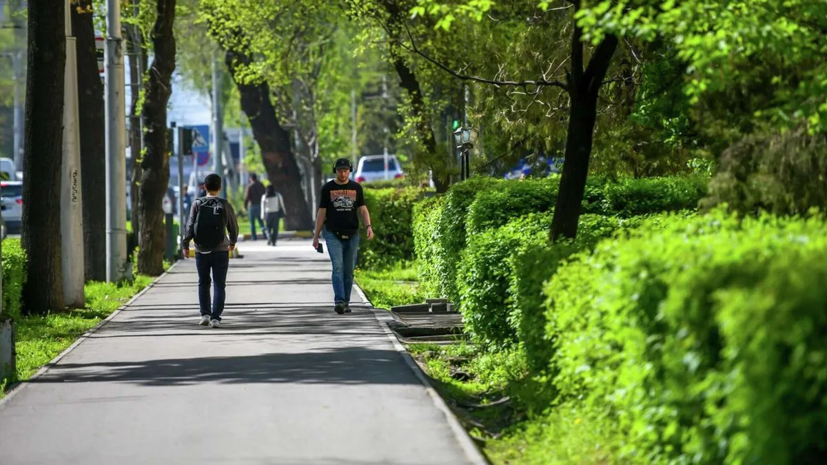 Тепло и без осадков — погода в Бишкеке 25 мая