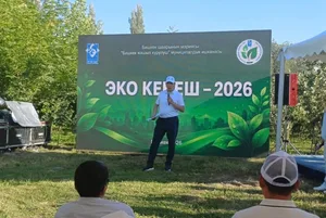 «Горожане как приемные дети?» Бишкекчанин раскритиковал автобусы, мэр дал ответ