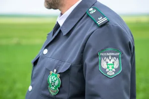 Россельхознадзор ограничит ввоз продукции пяти экспортеров из Узбекистана