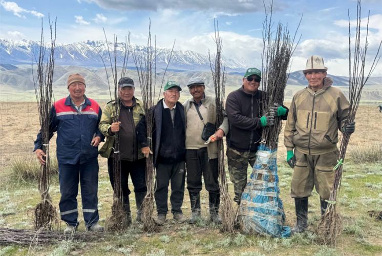 Combating climate change: FAO plants over 400,000 trees in Kyrgyzstan