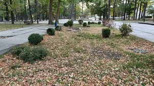 Октябрь в июле. В Бишкеке погибает Дубовый парк