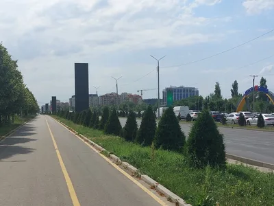 Бишкек без старых кустов: мэр рассказал о новом озеленении города