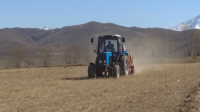 Kochkor distrit to cultivate almost 15,000 ha of land