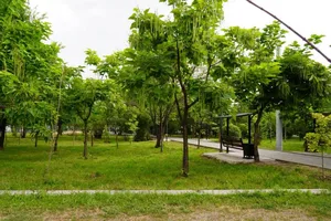 Bishkek to drill 18 wells to help preserve green spaces