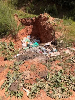 На пастбище Кок-Жайык выявили свалки мусора и сброс сточных вод