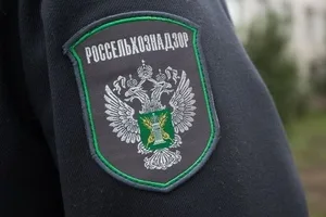 Россельхознадзор проконтролировал экспорт зерна в Кыргызстан