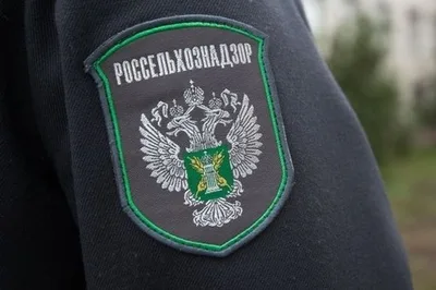 Экспорт тамбовских кормов для животных в Кыргызстан и страны ЕАЭС вырос в два раза