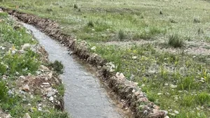В Ат-Башинском районе решена проблема с поливной водой: 95% фермеров завершили орошение