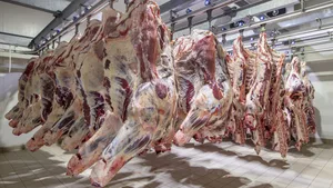 Казахстан собирается ввести квоты на вывоз мяса из страны