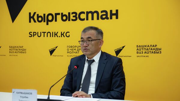 Кыргызстан является локомотивом экономического роста в СНГ — Кармышаков