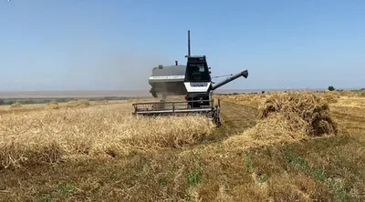 В Кыргызстане весенний сев на сегодня проведен на 676,7 тыс. га при плане 703,5 тыс. га, - Минсельхоз