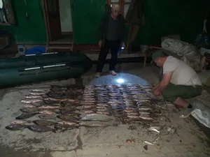 Во время запрета на рыбалку в Согдийской области изъяли 132 незаконно выловленные рыбы