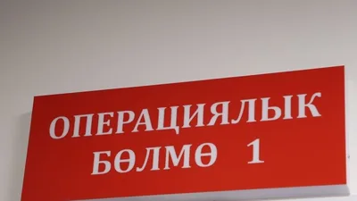 Глава больницы пожаловался на импортные игрушки: Медикам пришлось спасать двух детей