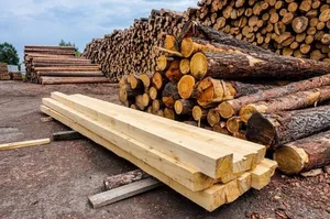 Россия экспортировала более 470 тыс. кубометров древесины в ряд стран, в том числе и в Кыргызстан
