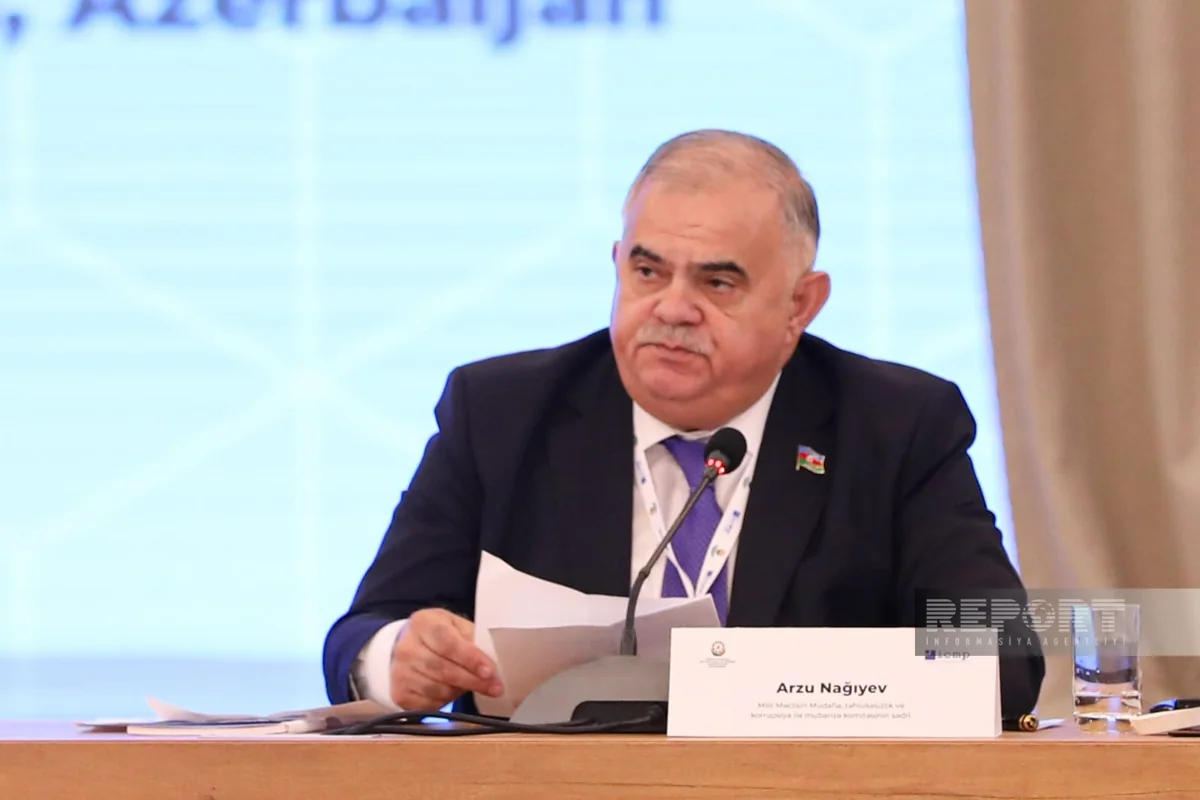 Арзу Нагиев: Необходима международная стратегия для установления судьбы пропавших без вести лиц