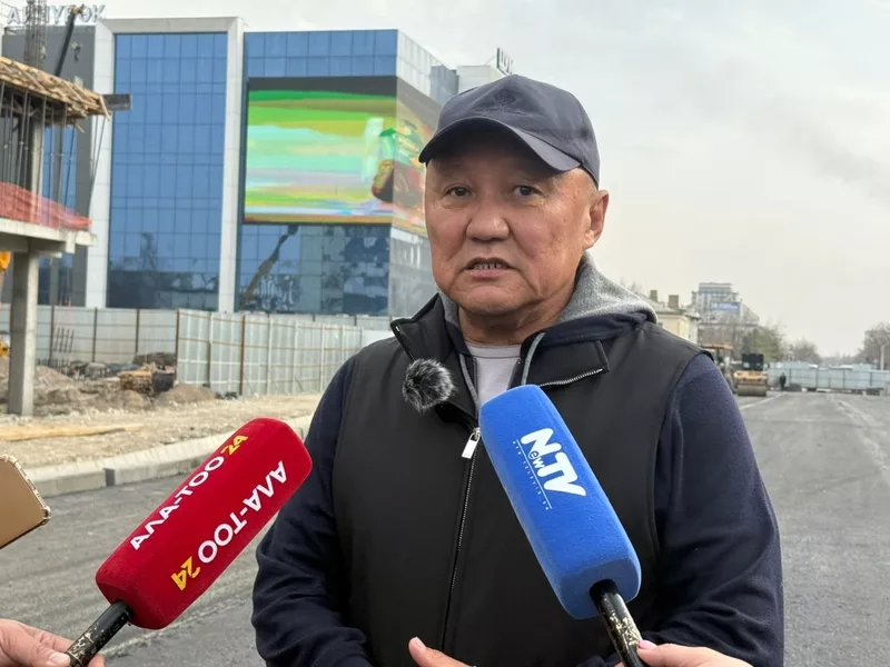 Нариман Тюлеев опроверг слова мэра Оша о канатной дорого на Сулайман-Тоо