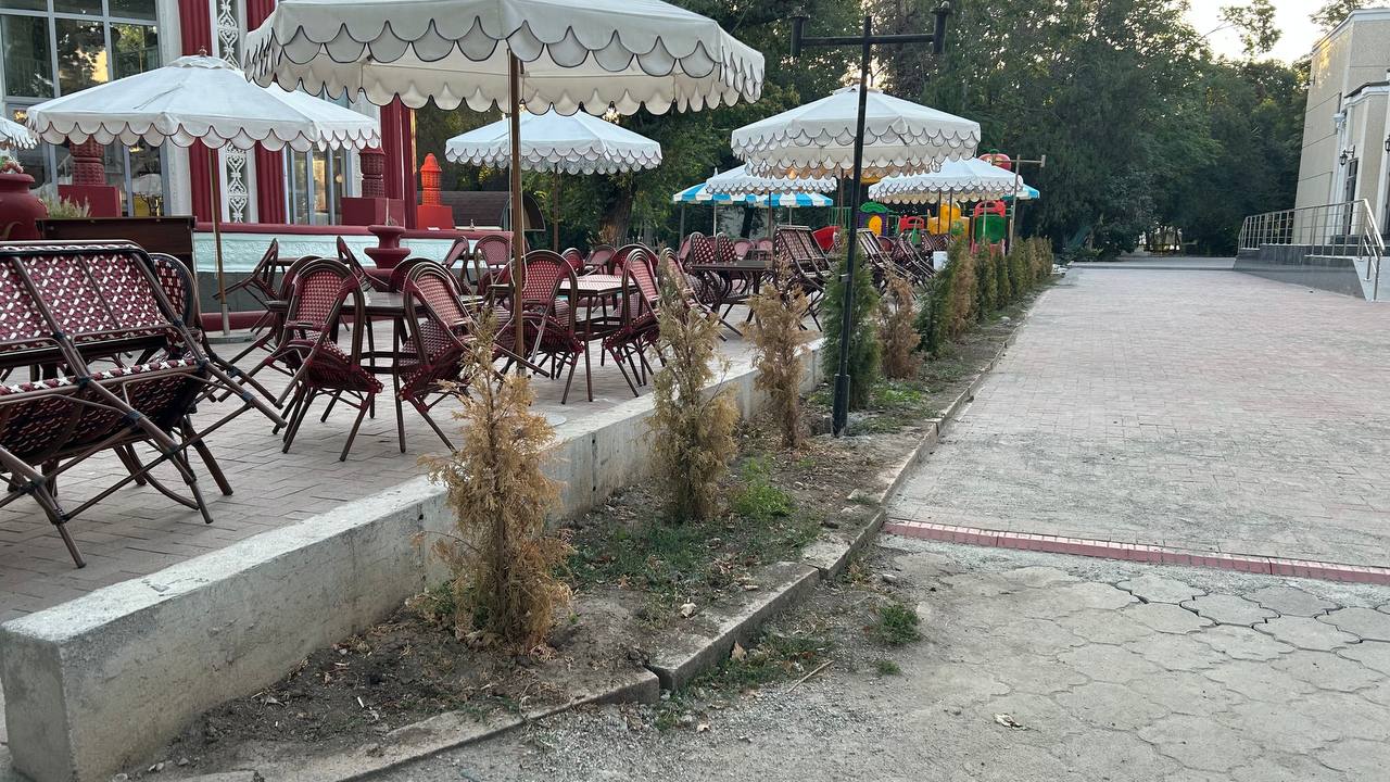 У знаменитого павильона «Ак-Суу» засохло все озеленение, проведенное мэрией
