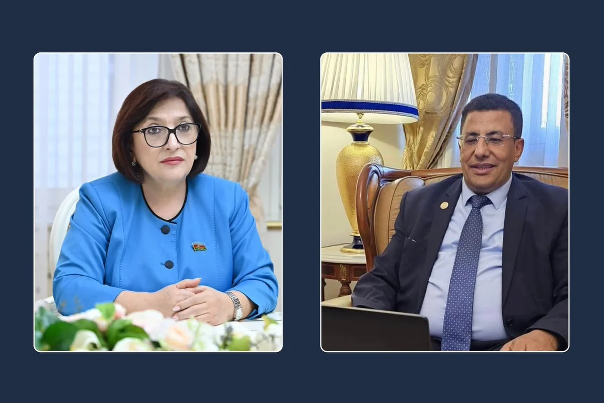 Обсуждено сотрудничество между Милли Меджлисом и Панафриканским парламентом