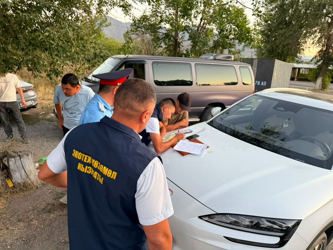 В Аламединском районе мотоциклистов оштрафовали за езду по пастбищам