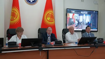 В Кыргызстане снизилась младенческая и материнская смертность
