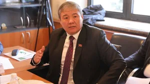 Депутат БГК опасается, что надземные переходы могут рухнуть из-за тяжести