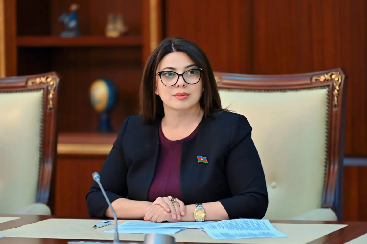 Сабина Салманова: Градостроительство не ограничивается понятием строительства и инфраструктуры
