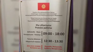 В России гражданам Кыргызстана помогли выплатить страховые выплаты