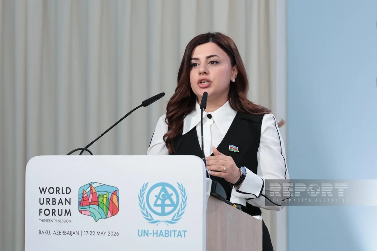 Парвана Велиева: Мир находится на этапе выбора инфраструктуры будущего