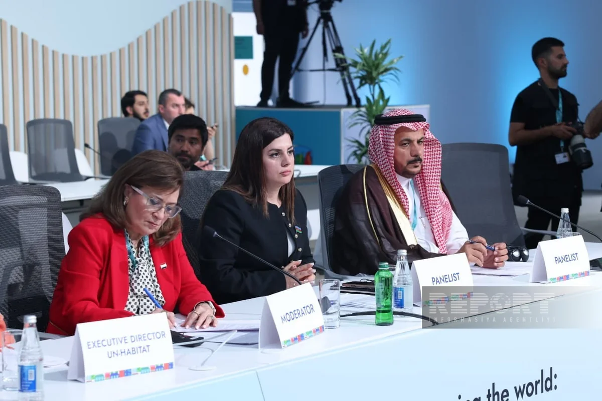 Парвана Велиева призвала расширить межпарламентское сотрудничество на WUF13