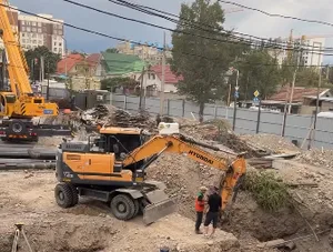 «Опять вырубили живые деревья!» - возмутился бишкекчанин