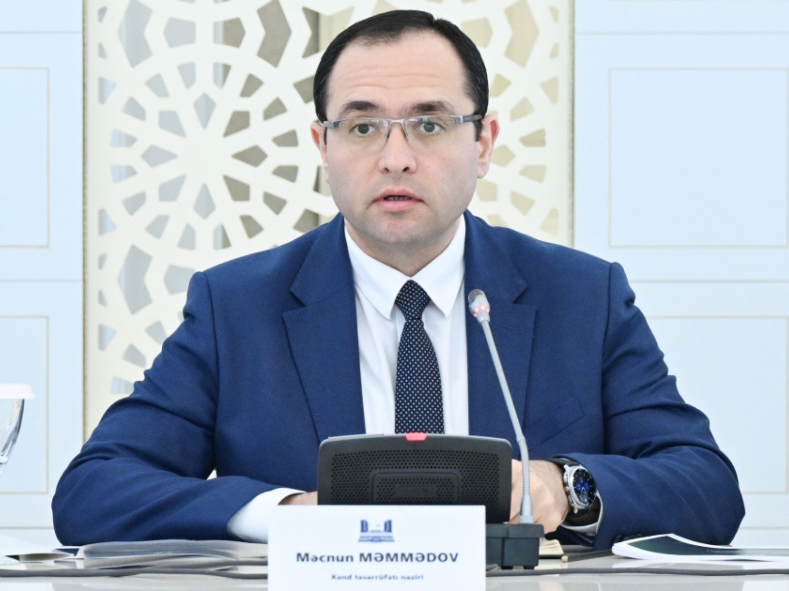 Продуктовые субсидии направлены на компенсацию расходов фермеров - Меджнун Мамедов