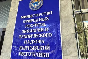 Цифровизация экологии: Минприроды Кыргызстана создаст три новые инфосистемы