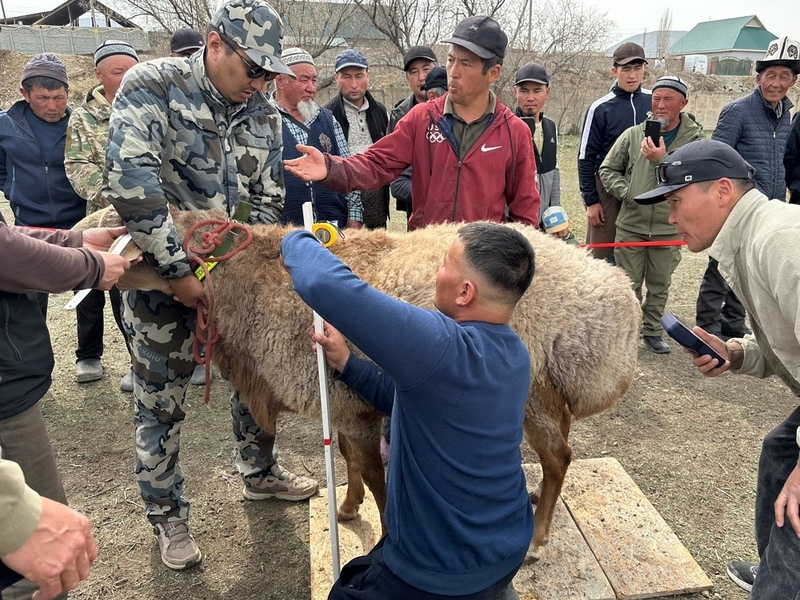 Agriculture Minister outlines strategy to export Arashan breed to international markets