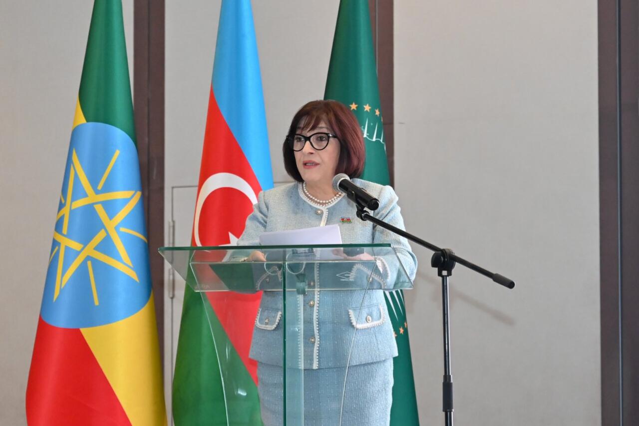Sahibə Qafarova Efiopiyada bir sıra ölkələrin səfirləri ilə görüşüb