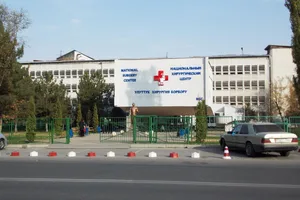В Бишкеке разрешили передачу зданий больниц и госорганов инвесторам вместе с землей