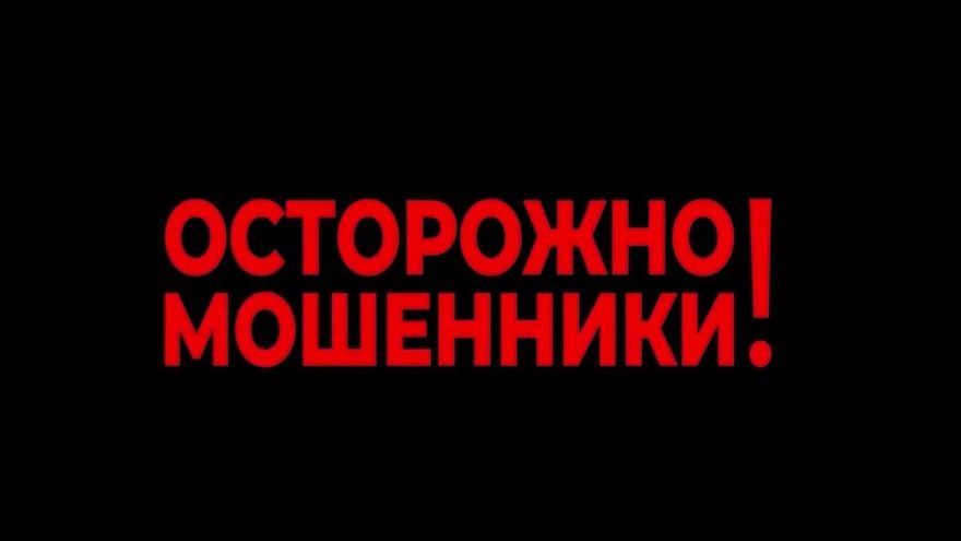 Бдите! О росте случаев кибермошенничества предупреждает прокуратура Бишкека
