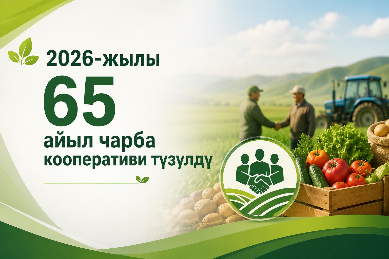 В 2026 году создано 65 сельскохозяйственных кооперативов